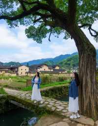 浙江版「綠野仙蹤」！探秘松陽古村松莊村，溪水石橋間的隱世時光
