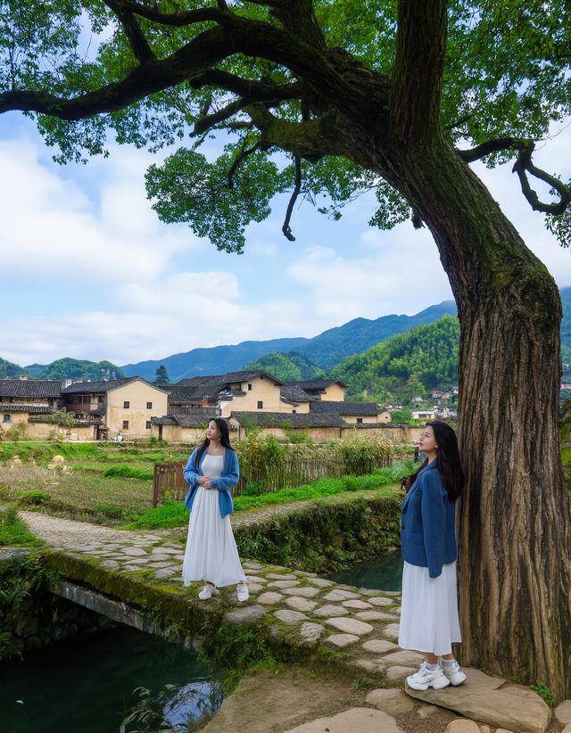 浙江版「綠野仙蹤」！探秘松陽古村松莊村，溪水石橋間的隱世時光