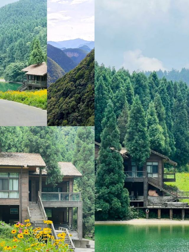 避暑就嚟武陵山國家森林公園！今個夏天最清涼嘅山野秘境