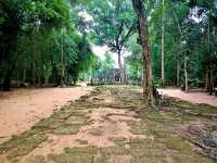 TA NEI Temple: Angkor’s Wild Soul