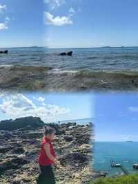 廣東趕海天花板？向海尋鮮！茂名灘塗尋鮮大挑戰！