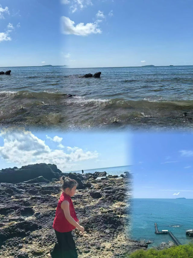 廣東趕海天花板？向海尋鮮！茂名灘塗尋鮮大挑戰！