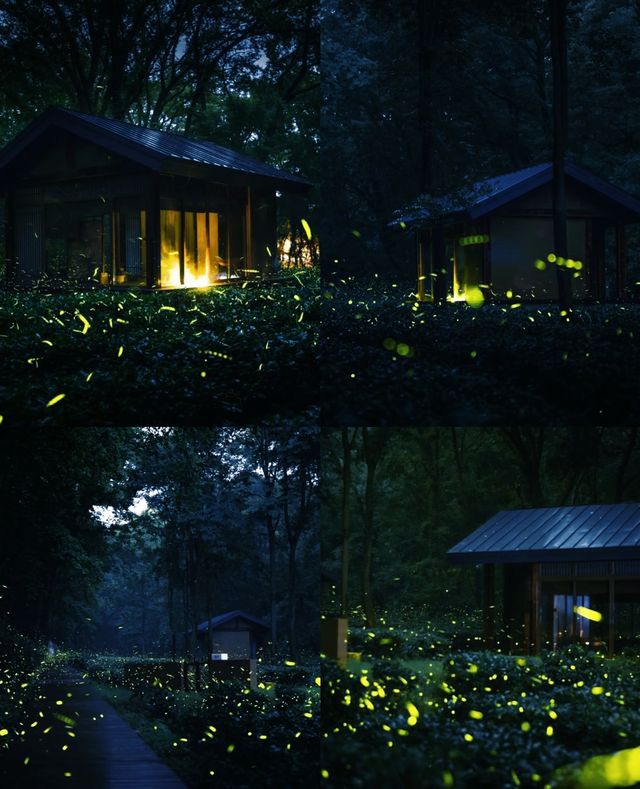 南京夏夜『爆燈』啦！7-8月限定螢火蟲雨，錯過要等一年！