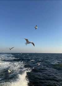 入住青島站西廣場漢庭,開啟高效清涼夏日遊!