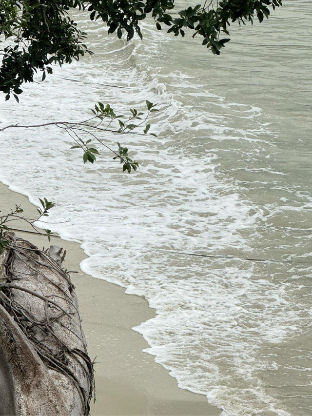 深圳鹽田棧道