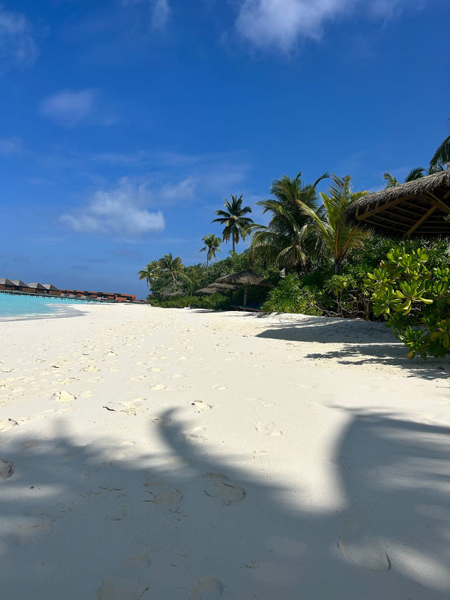 Outstanding Beach Villa Stay Experience