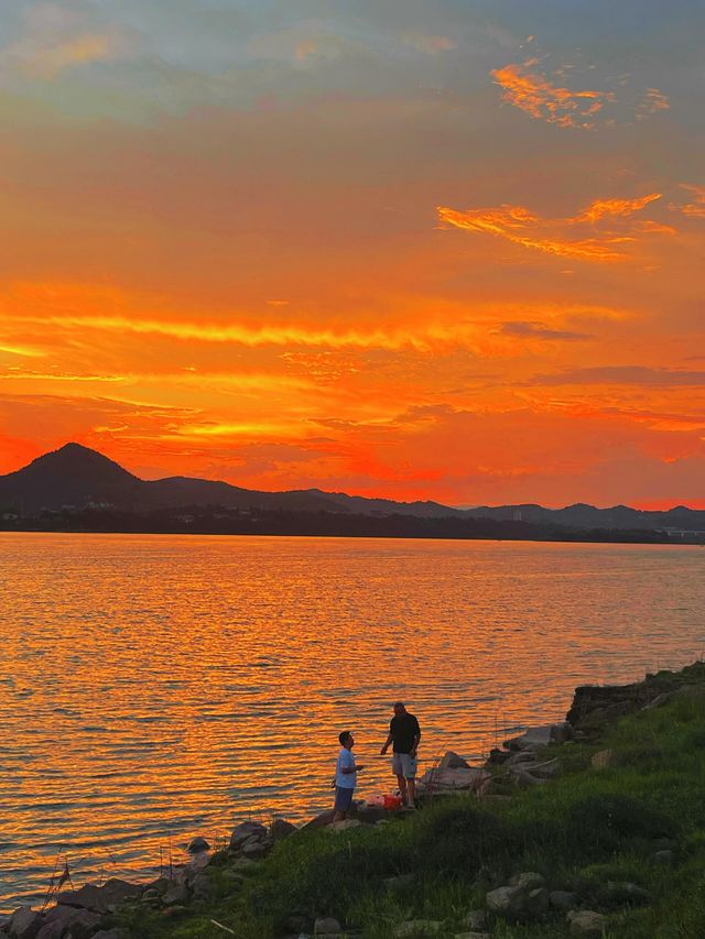 宜昌濱江公園：邂逅夏日限定的浪漫