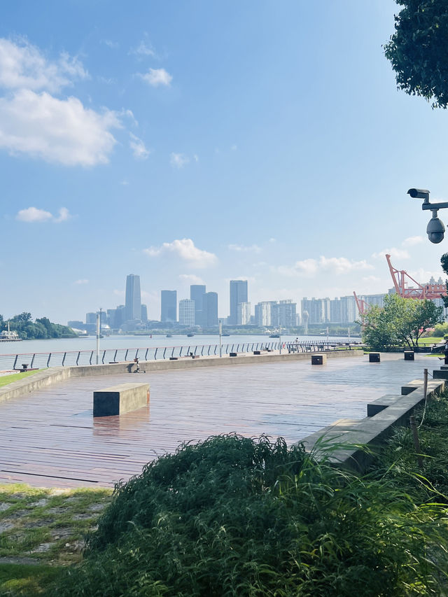 徐滙濱江西岸瘋狂動物城打卡地-寵物友好地標