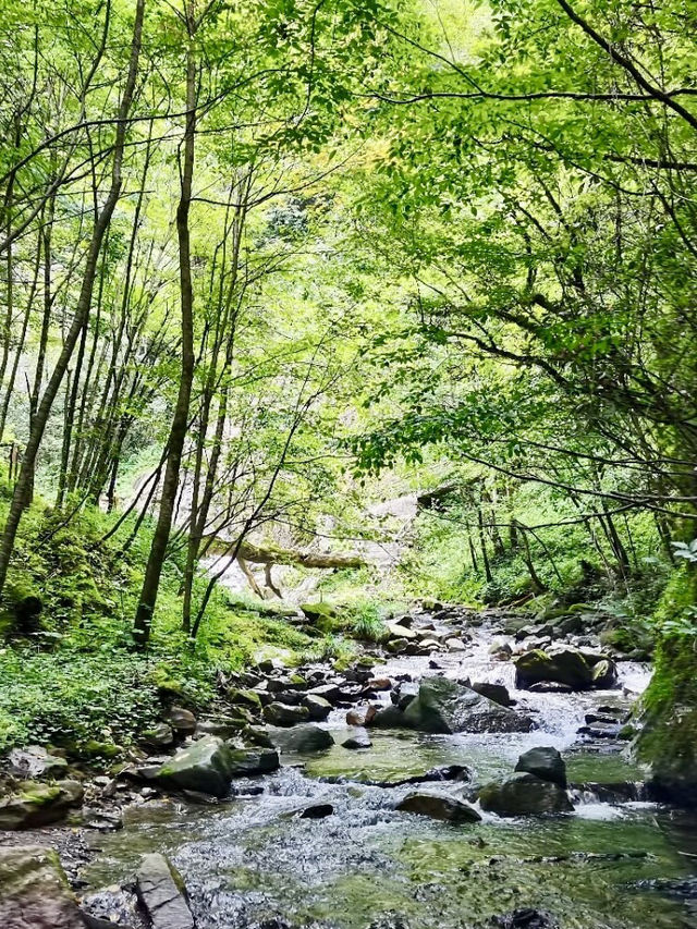雲間飛渡,峽谷的心跳之旅 雲間飛渡,峽谷的心跳之旅