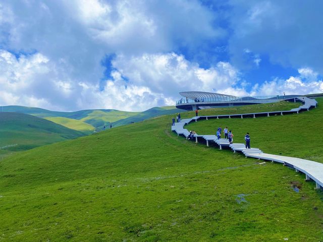 滇東北的20萬畝秘境,雲上草原的四季牧歌 滇東北的20萬畝秘境,雲上草原的四季牧歌