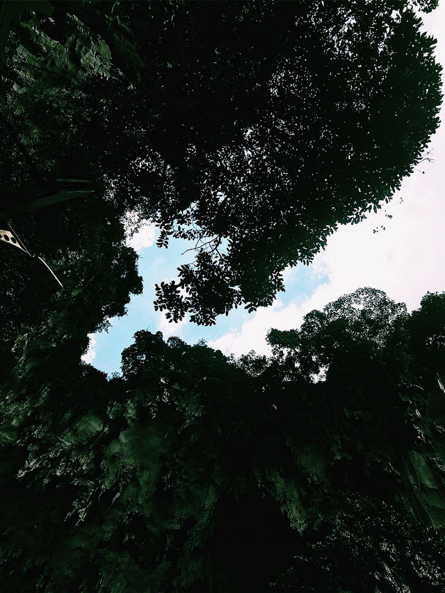 Photo Spots That Make You Look Up in KL 📸 