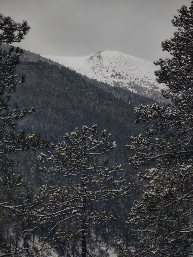 冒雪勇闖金沙馬蹄灣梅里十三峰，我畫給你看！