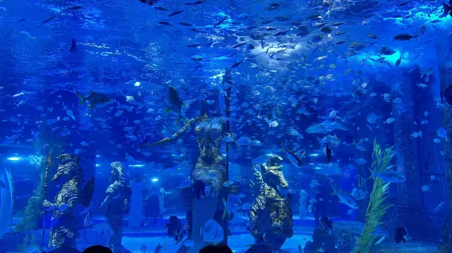 Harbin Polar Pavilion Fantasy Journey