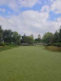 在嘉興植物園,與一場不期而遇的寧靜相逢!