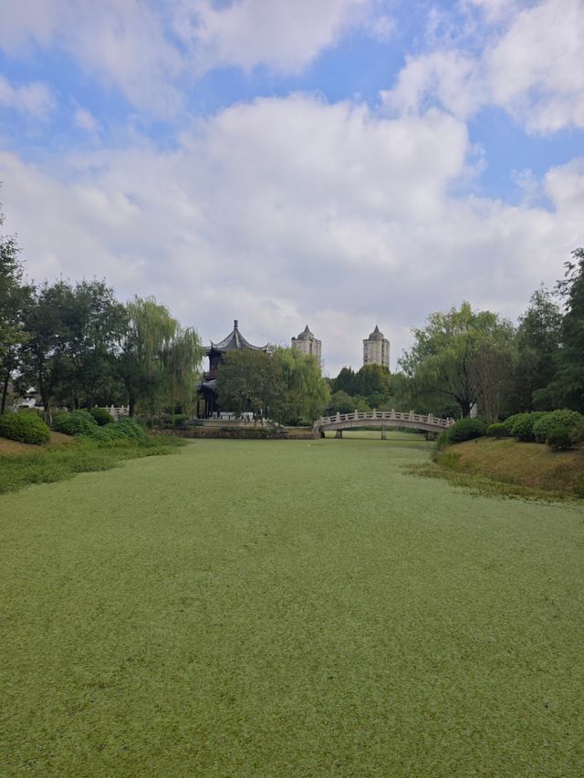 在嘉興植物園,與一場不期而遇的寧靜相逢! 在嘉興植物園,與一場不期而遇的寧靜相逢!