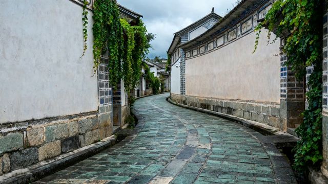 治癒系稻田拍照聖地