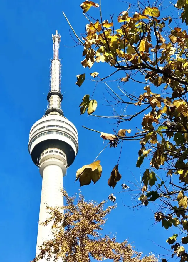 Autumn in Wuhan has reached the Next Level! (With viewing tips