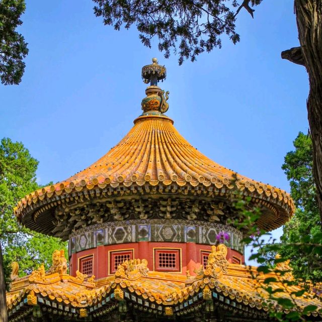 北京故宮完全攻略🏯初訪りでも安心！