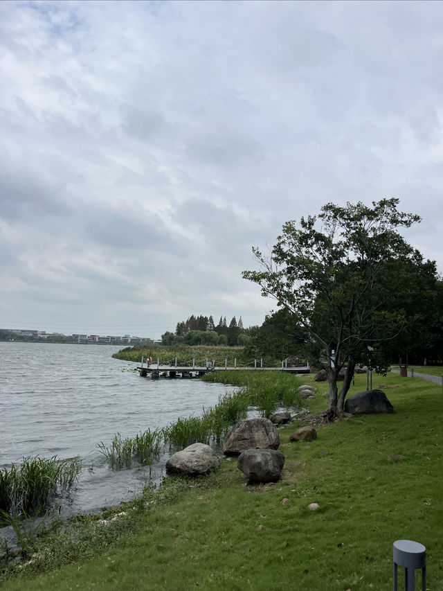東沙湖生態公園