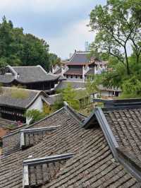 帶小學課本爬嶽麓山，在愛晚亭讀懂了楓林晚
