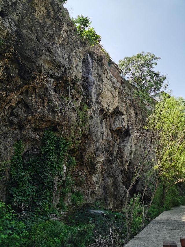 平陽湖遊玩大揭秘！風景竟藏在這