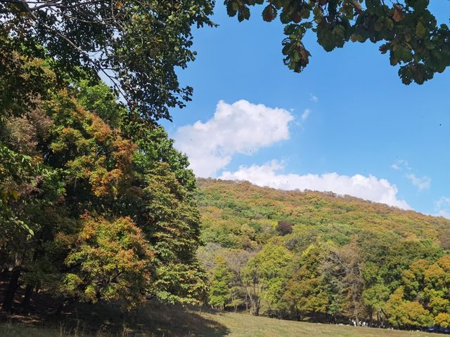 秋山