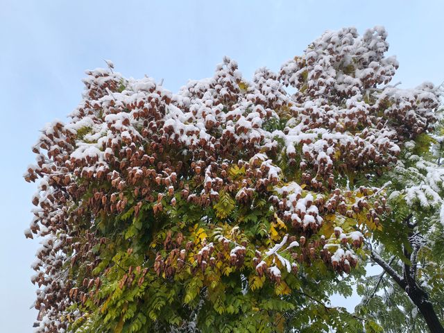 初雪降臨東鄉族自治縣｜在鎖南壩遇見最純淨的雪景