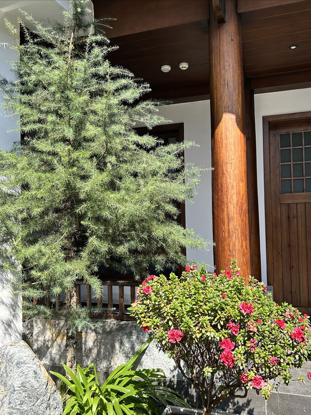 束河絕了！這家原木風民宿的管家服務讓我住了不想走