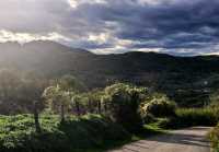 阿斯圖里亞斯的心跳：從 Cangas de Onís 到 Oviedo