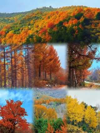 太原Citywalkの新たなランドマーク：狐山を散策し、歴史の鼓動を感じる