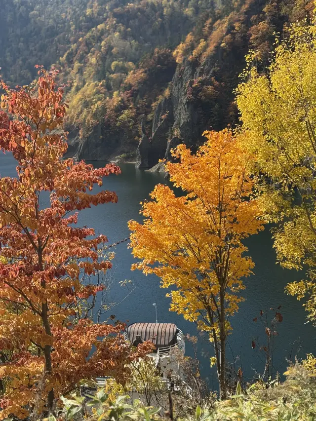 정말 아름다워요 10월 20일의 조잔케이 호헤이쿄 단풍 감상 가이드