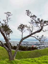 Meadow Magic Auckland🌱🌋 Mount Eden Lookout: Auckland's Ultimate 360° View!