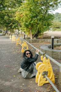 青森奧入瀨溪流+十和田湖一日散步路線