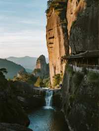 莆田遛娃!免費看金色油菜花海車直達超省心