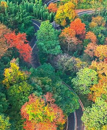 杭州綠道天花板美如油畫長廊 杭州綠道天花板美如油畫長廊