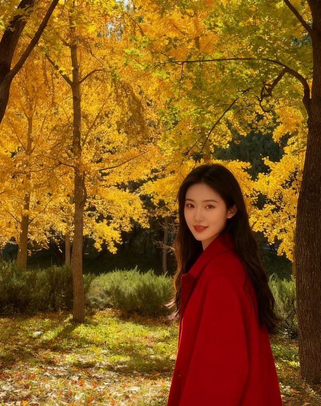 四得公園銀杏機位實拍|低角度這樣拍美炸了! 四得公園銀杏機位實拍|低角度這樣拍美炸了!