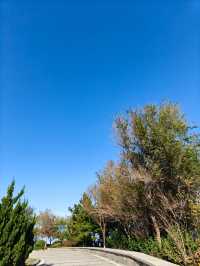 超chill的煙台躺平攻略這家海景酒店真的讓我實現了"面朝大海，春暖花開"的夢想！  這次在煙台