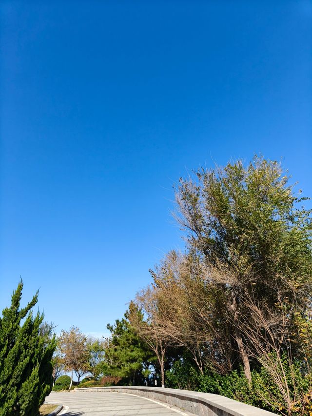 超chill的煙台躺平攻略這家海景酒店真的讓我實現了"面朝大海，春暖花開"的夢想！  這次在煙台