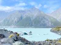 타스만 빙하 호수 완벽 여행 가이드