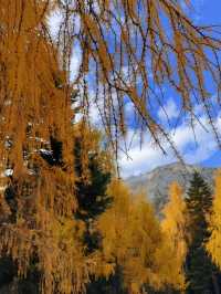 川西冬日天花板！木格措靚到令人詞窮