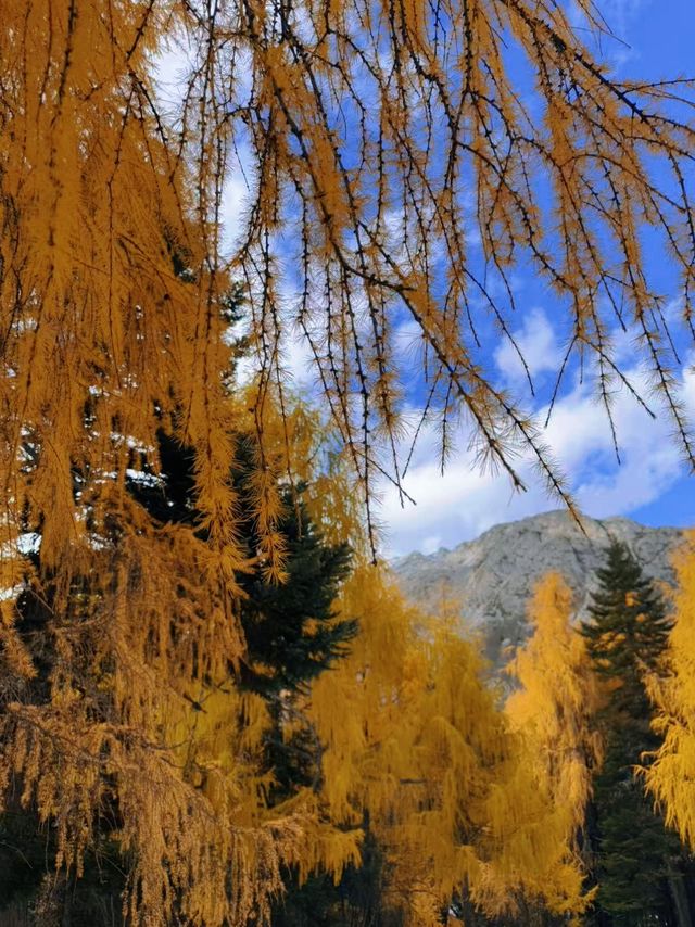 川西冬日天花板！木格措靚到令人詞窮