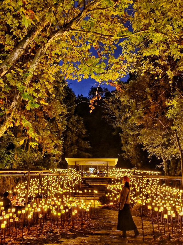 這還是我認識的景德鎮嗎？如此璀璨奪目！