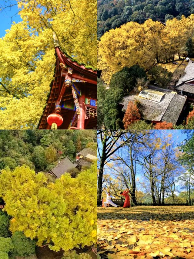 蒙頂山登天蓋寺觀雲海觸摸天空的藍