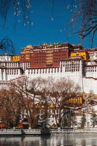 布達拉宮神秘機位曝光！99%的人不知道的絕美拍攝點