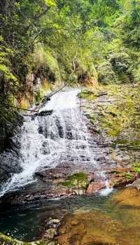 秘境森林徒步路線