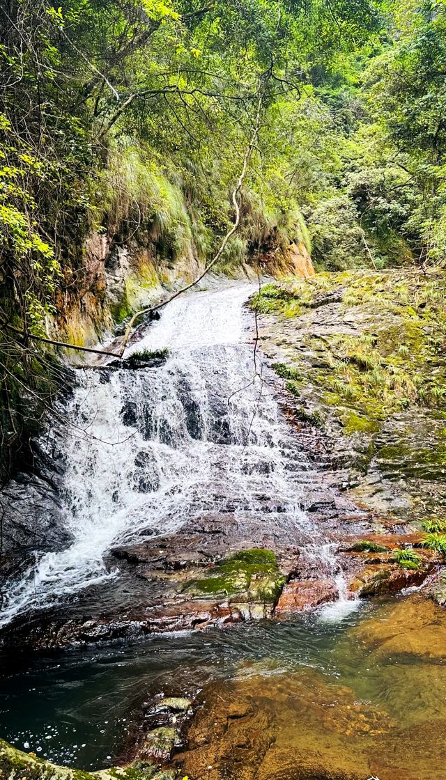 秘境森林徒步路線
