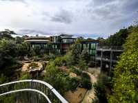 住進動物園的夜！Taronga最美棲息之旅