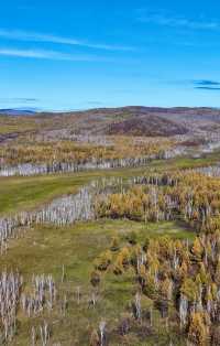 大興安嶺:穿越林海,尋找心中的淨土