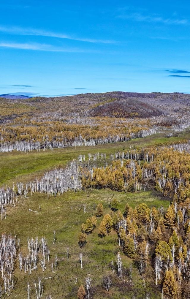 大興安嶺:穿越林海,尋找心中的淨土 大興安嶺:穿越林海,尋找心中的淨土