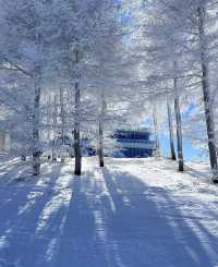 北京滑雪直通車開通!週末2小時直達雪場